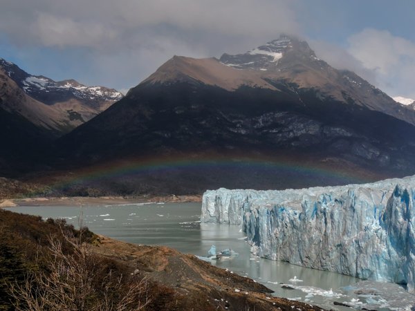 Comment choisir une croisière qui propose des randonnées pour découvrir les glaciers en Alaska?